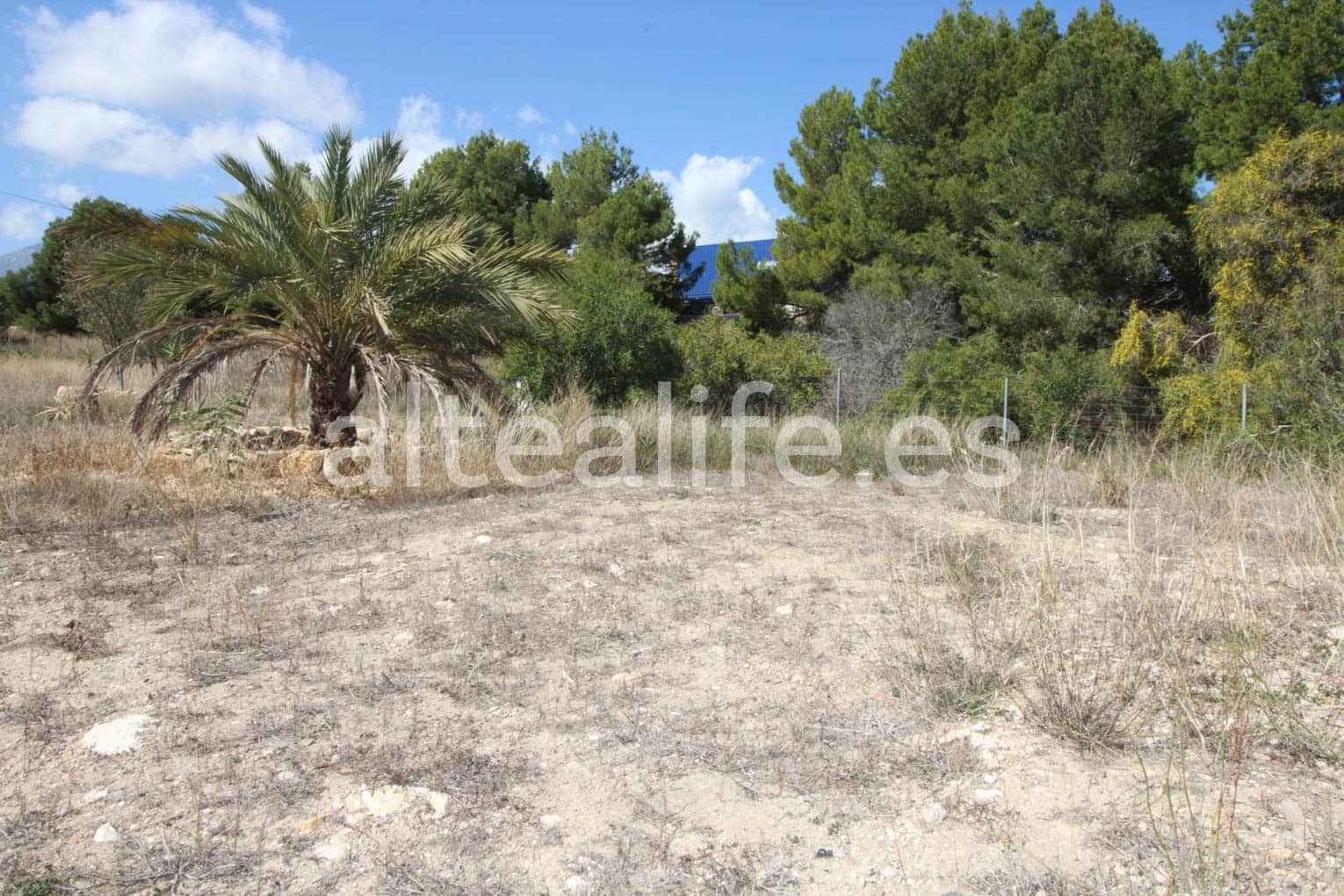 Byggegrund til salg i Altea - € 55.000 (Ref: 8188271)