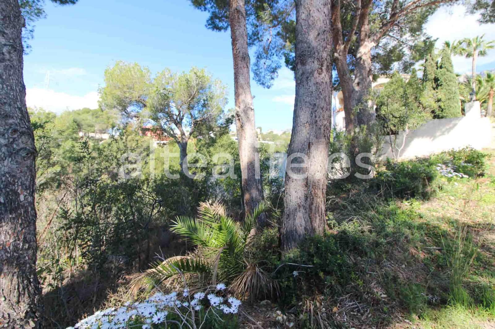 Byggegrund til salg i Altea - € 180.000 (Ref: 8922569)