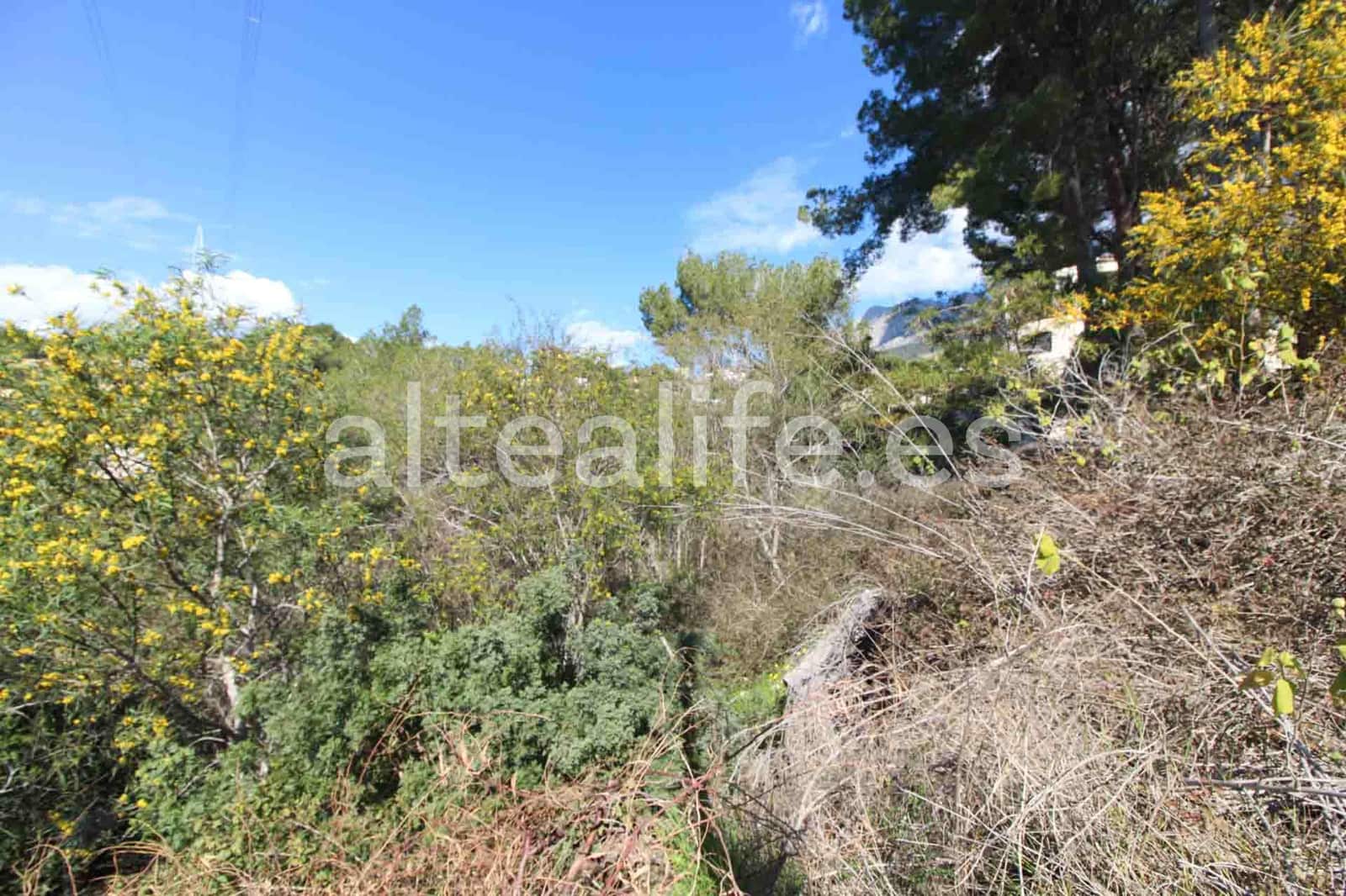 Byggegrund til salg i Altea - € 180.000 (Ref: 8922569)