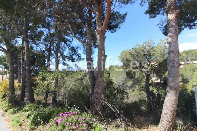 Bouwgrond te koop in Altea - € 180.000 (Ref: 8922569)
