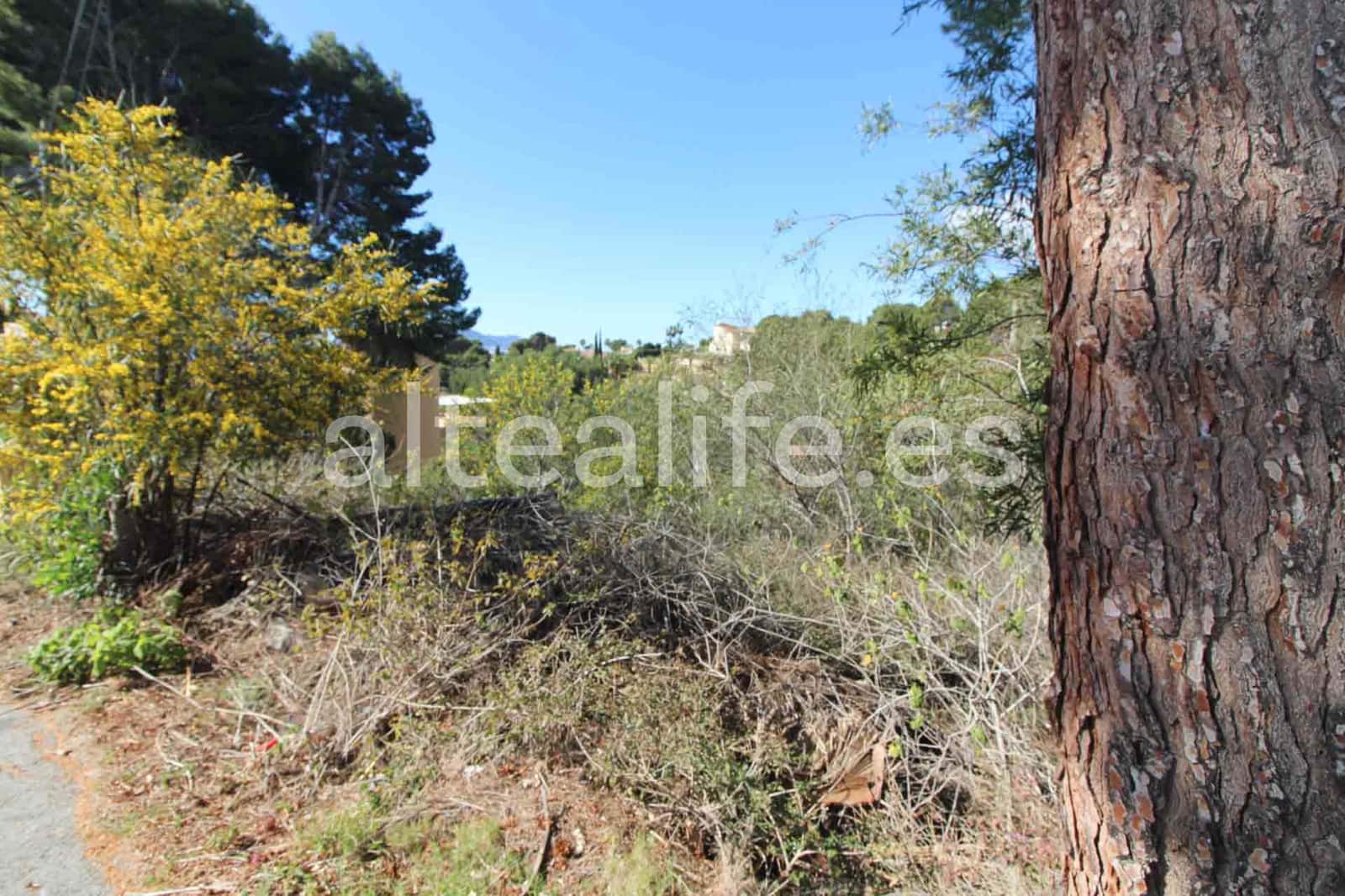 Byggegrund til salg i Altea - € 180.000 (Ref: 8922569)