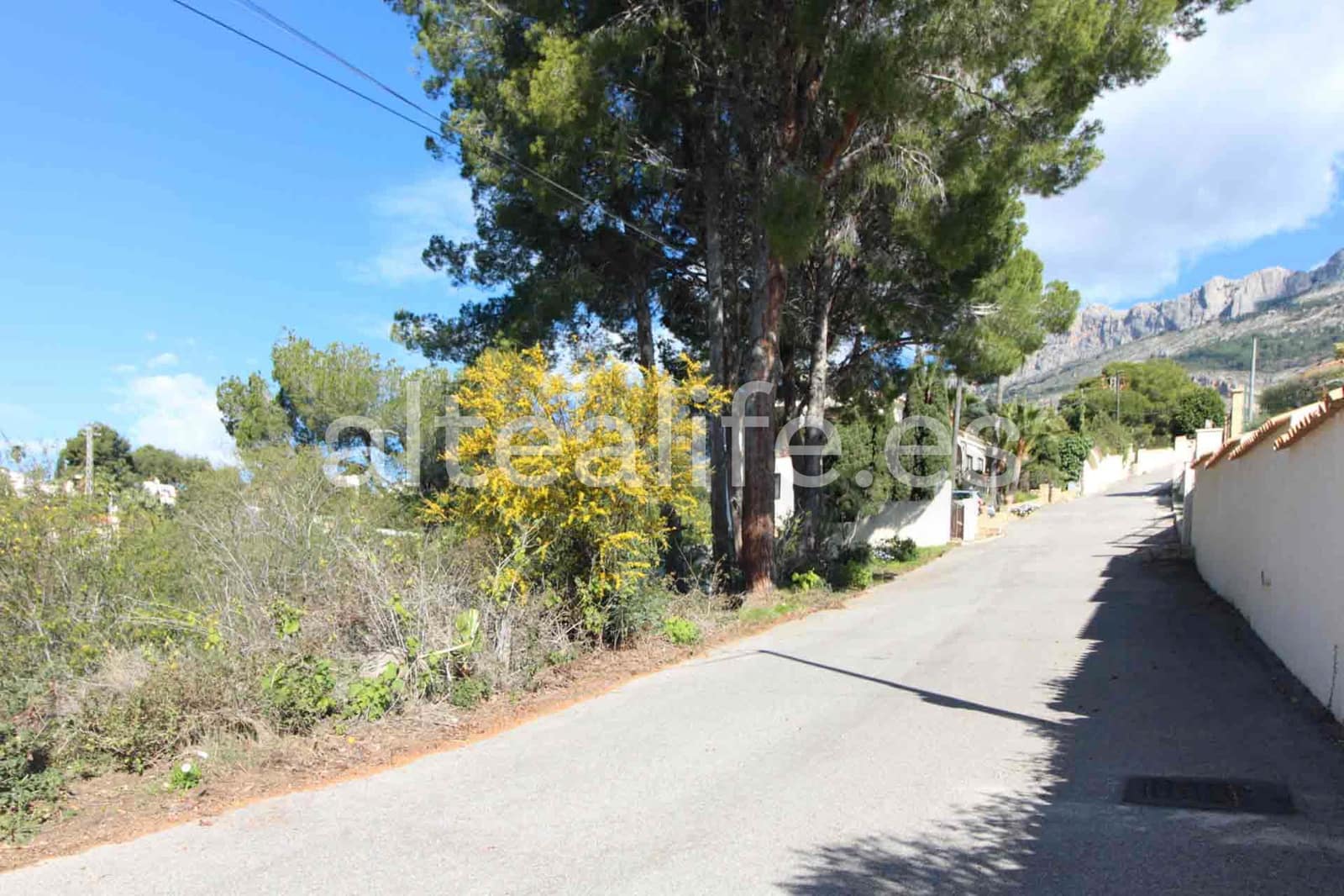 Byggegrund til salg i Altea - € 180.000 (Ref: 8922569)