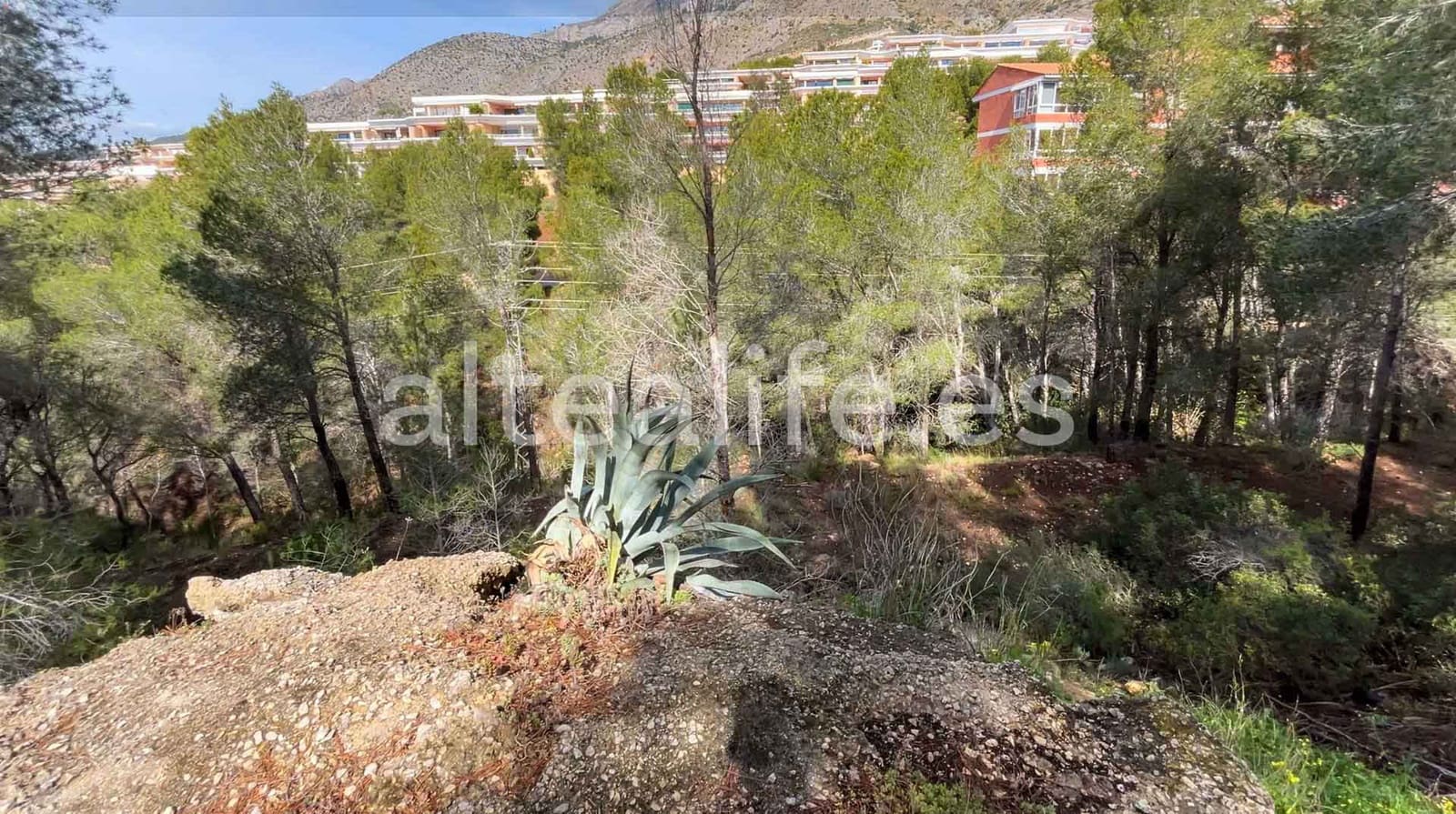 Terrain à Bâtir à vendre à Altea - 125 000 € (Ref: 9759544)