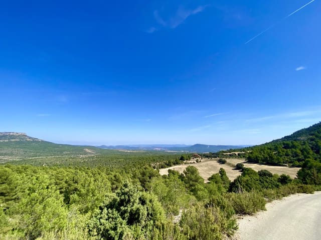 5 bedroom Finca/Country House for sale in Ayora - € 3,200,000 (Ref: 7837894)