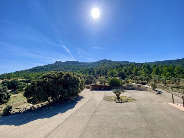 5 bedroom Finca/Country House for sale in Ayora - € 3,200,000 (Ref: 7837894)