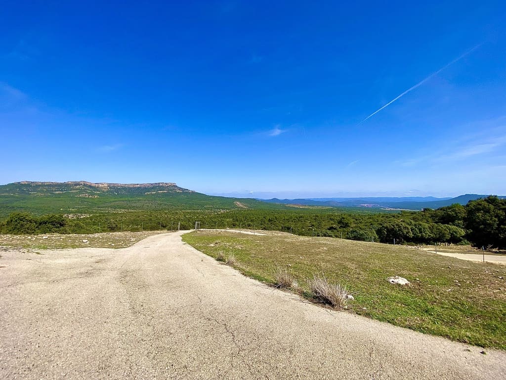 5 soveværelse Finca/Landehus til salg i Ayora - € 3.200.000 (Ref: 7837894)