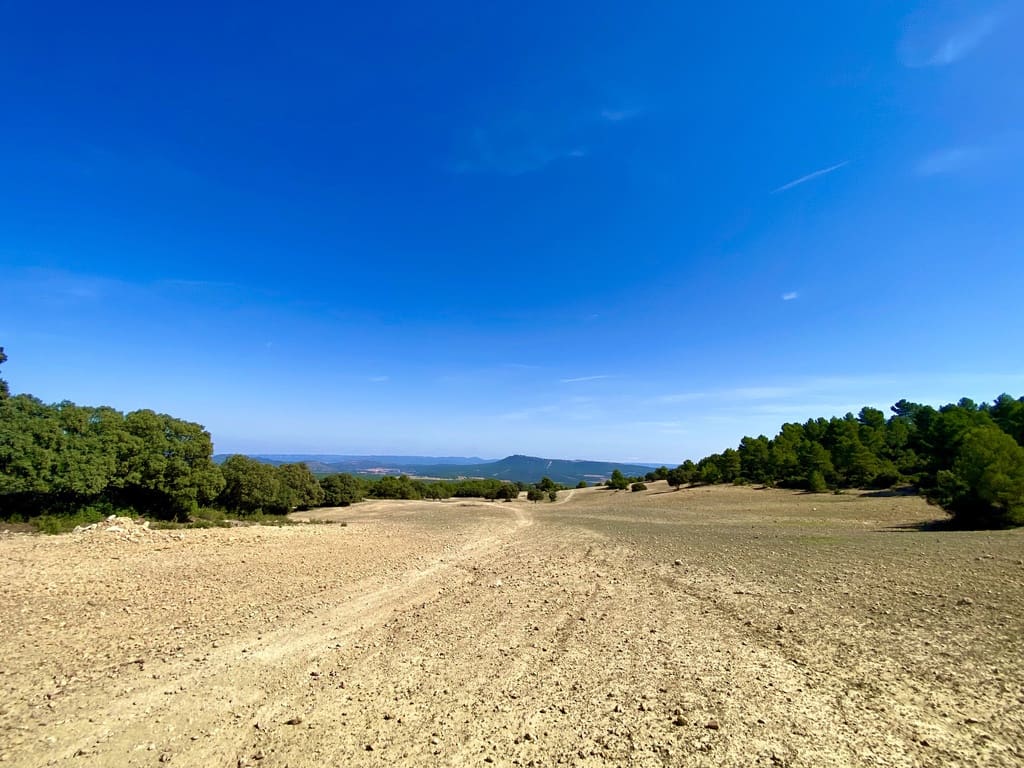 5 soveværelse Finca/Landehus til salg i Ayora - € 3.200.000 (Ref: 7837894)