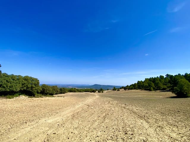 5 bedroom Finca/Country House for sale in Ayora - € 3,200,000 (Ref: 7837894)