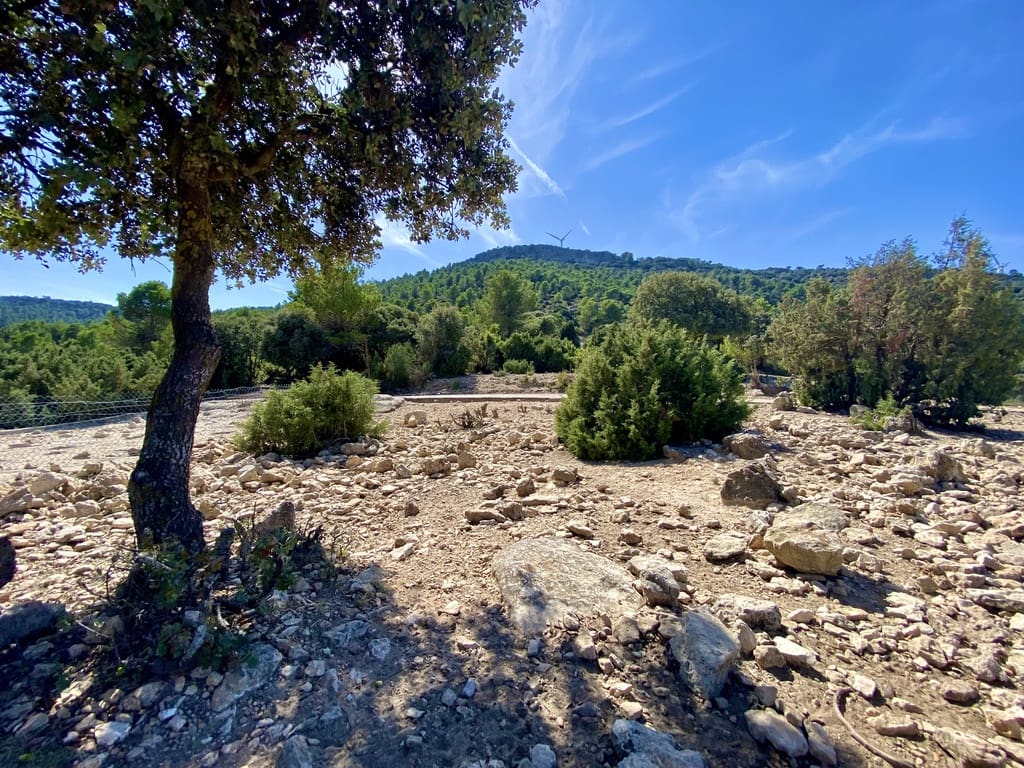 5 soveværelse Finca/Landehus til salg i Ayora - € 3.200.000 (Ref: 7837894)