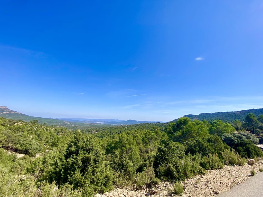 5 soveværelse Finca/Landehus til salg i Ayora - € 3.200.000 (Ref: 7837894)