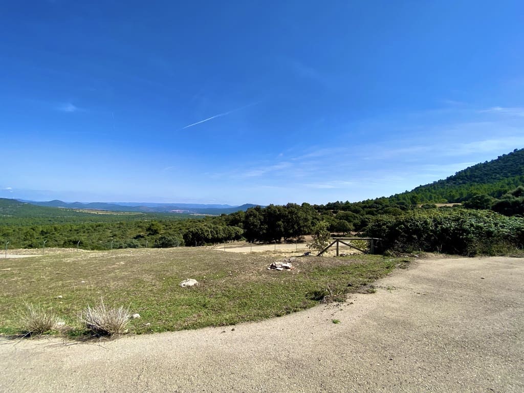 5 soveværelse Finca/Landehus til salg i Ayora - € 3.200.000 (Ref: 7837894)