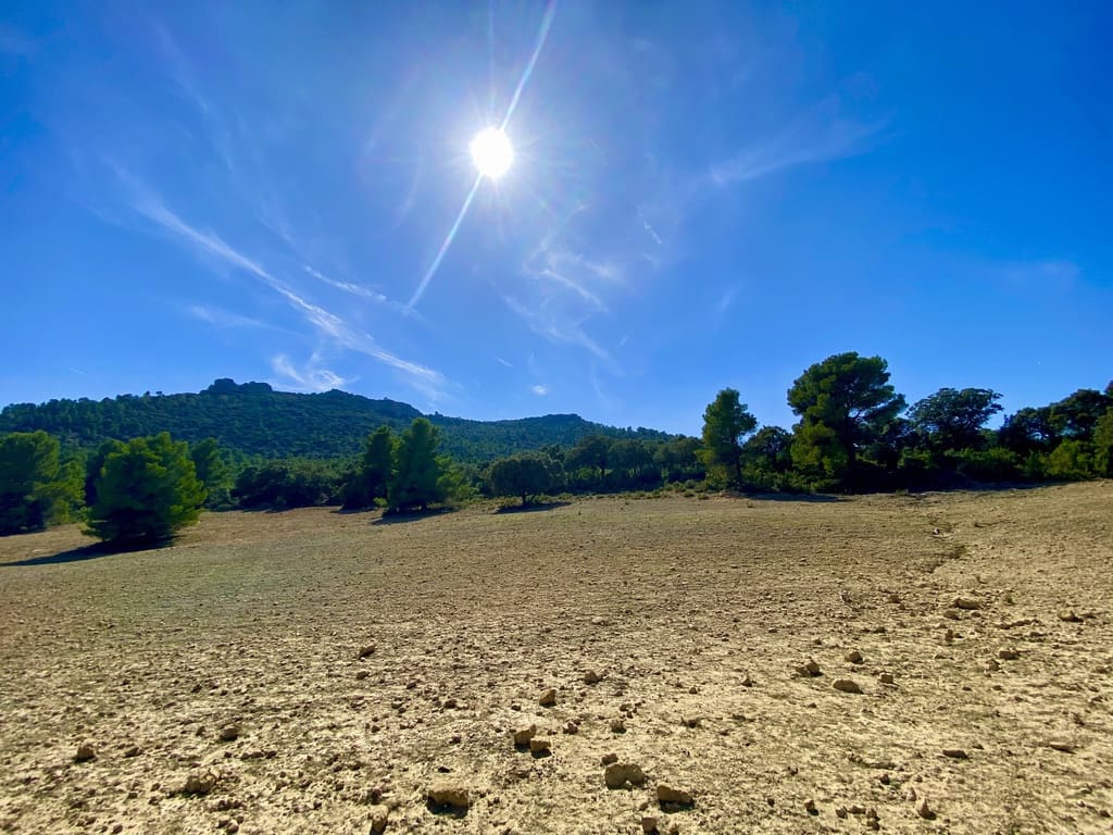 5 soveværelse Finca/Landehus til salg i Ayora - € 3.200.000 (Ref: 7837894)