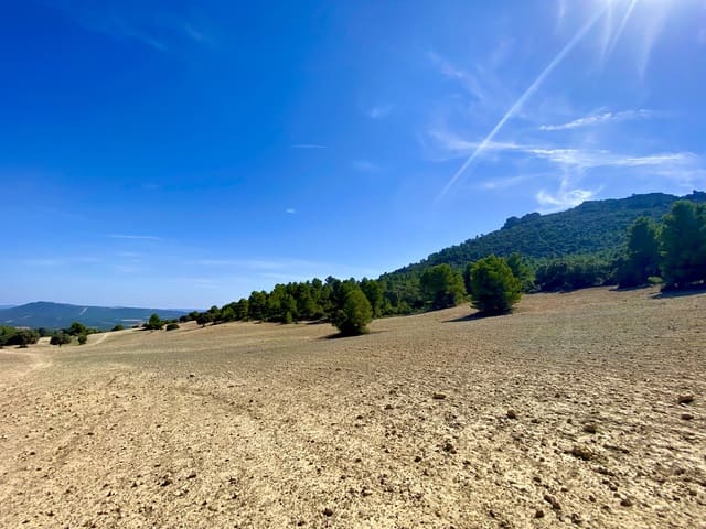 5 bedroom Finca/Country House for sale in Ayora - € 3,200,000 (Ref: 7837894)