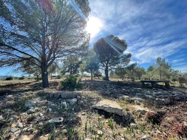 Bouwgrond te koop in Beniarbeig - € 3.500.000 (Ref: 8299154)