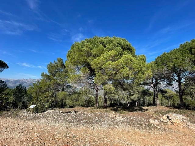 Bouwgrond te koop in Beniarbeig - € 3.500.000 (Ref: 8299154)