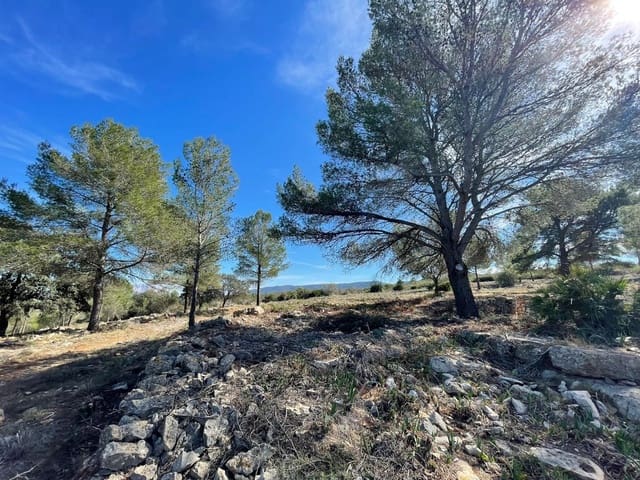 Bouwgrond te koop in Beniarbeig - € 3.500.000 (Ref: 8299154)