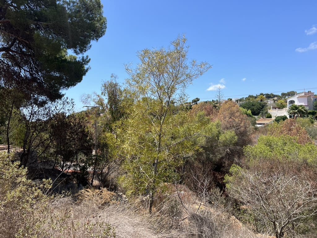 Bouwgrond te koop in Montemar - € 150.000 (Ref: 8361369)