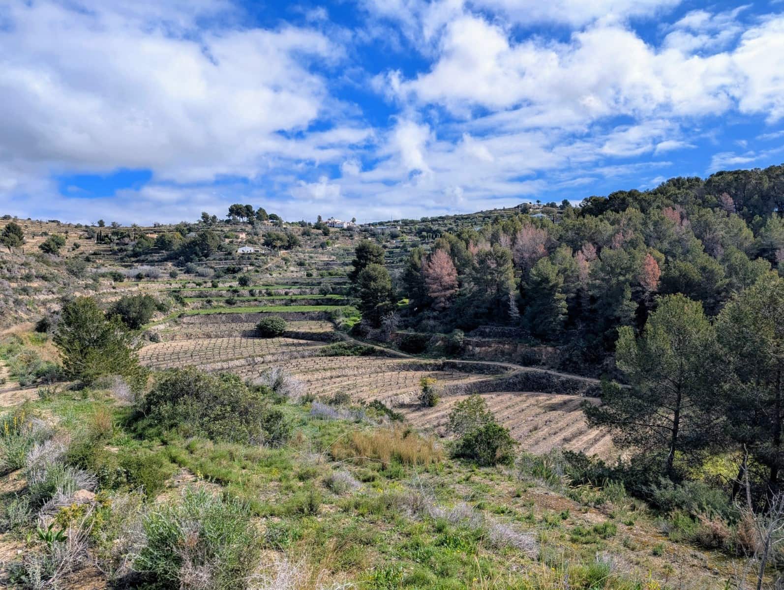 Grunde uden byggetilladelser til salg i Benissa - € 999.000 (Ref: 8895667)