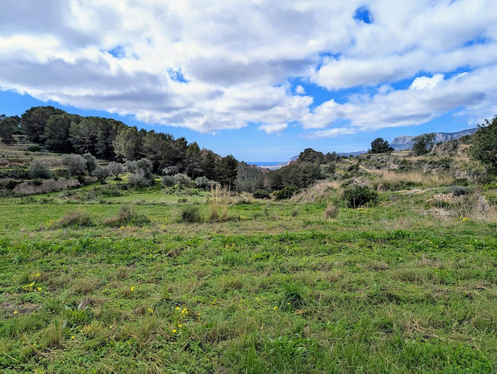 Grunde uden byggetilladelser til salg i Benissa - € 999.000 (Ref: 8895667)