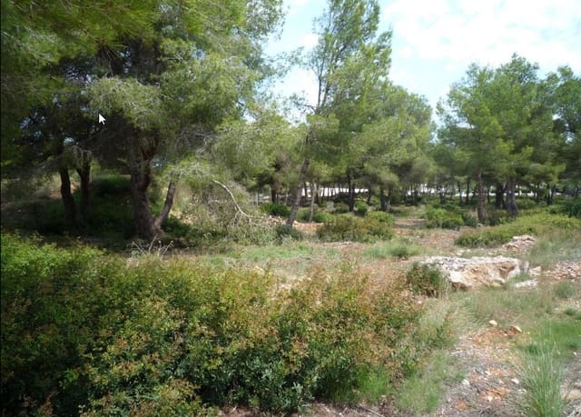 Tontti myytävänä paikassa Portichol - Balcón al Mar, Javea / Xàbia - 215 000 € (Ref: 9025655)