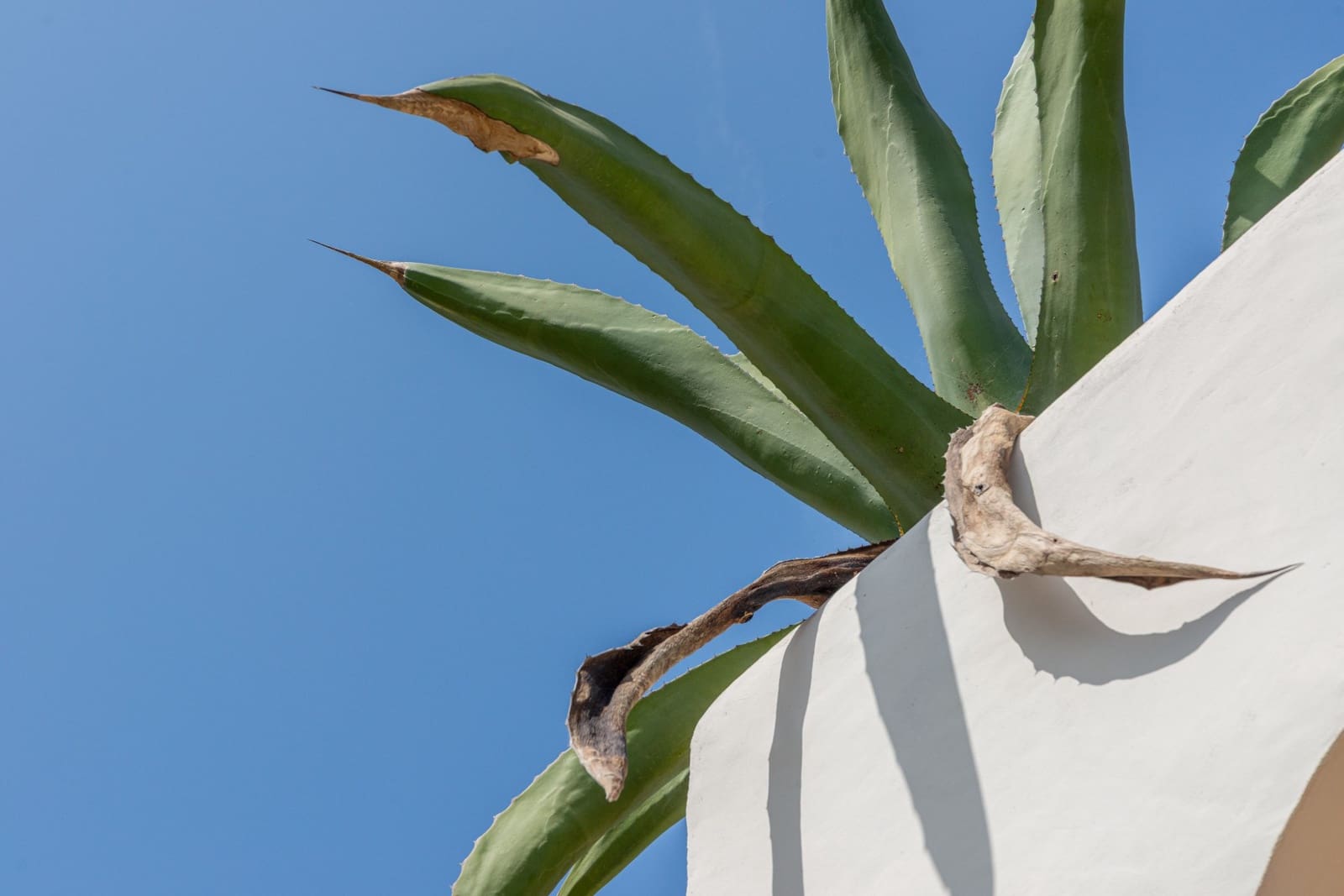 3 Zimmer Villa zu verkaufen in Moraira mit Pool - 1.995.000 € (Ref: 9104950)