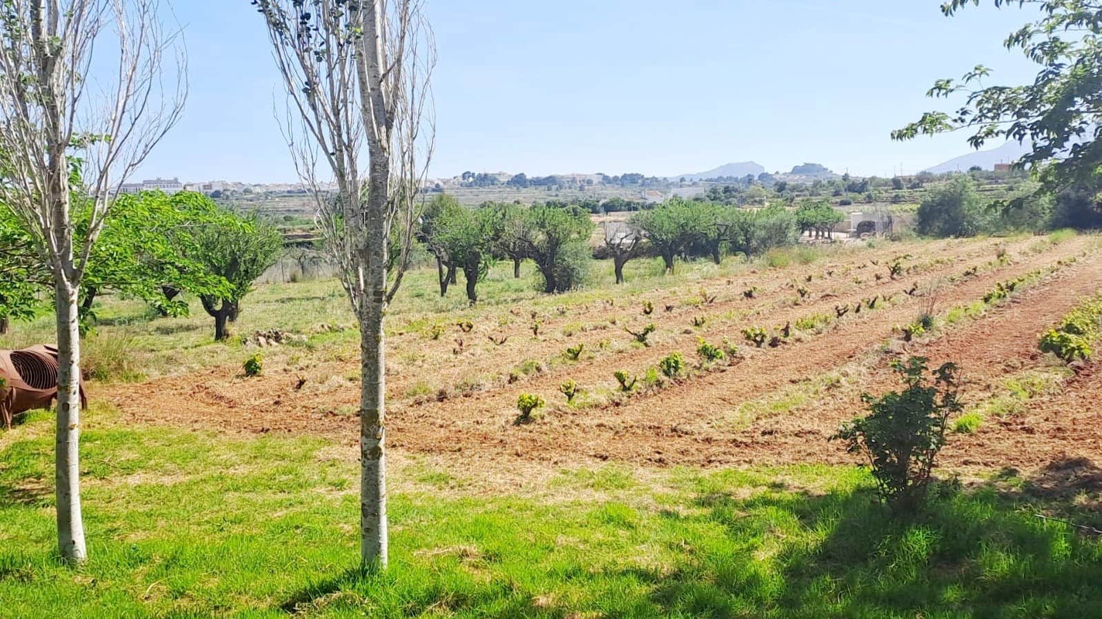 4 soveværelse Finca/Landehus til salg i Benissa med swimmingpool - € 1.295.000 (Ref: 9205318)