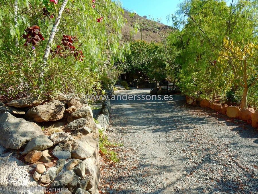 Finca/Country House for sale in San Bartolome de Tirajana with pool - € 5,800,000 (Ref: 5000096)