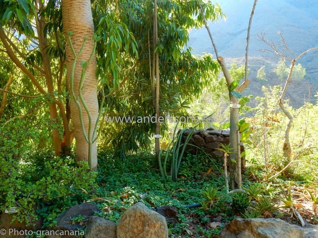 Finca/Landhuis te koop in San Bartolomé de Tirajana met zwembad - € 5.800.000 (Ref: 5000096)