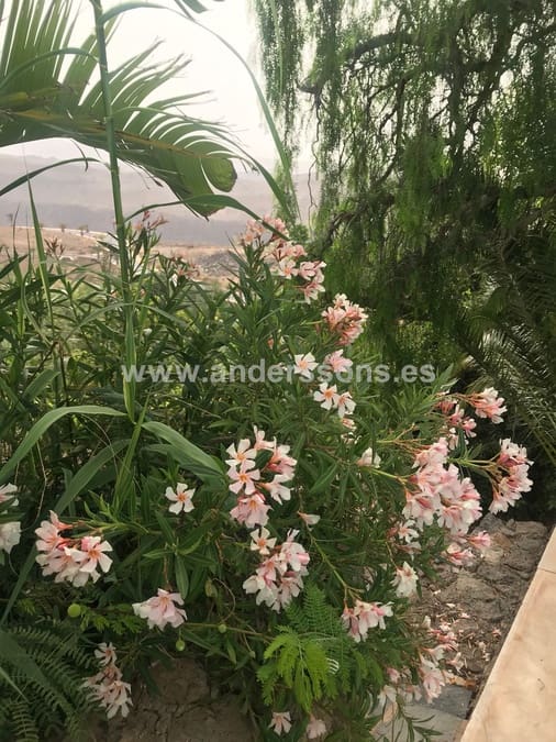 Finca/Country House for sale in Monte Leon - € 6,900,000 (Ref: 6503486)