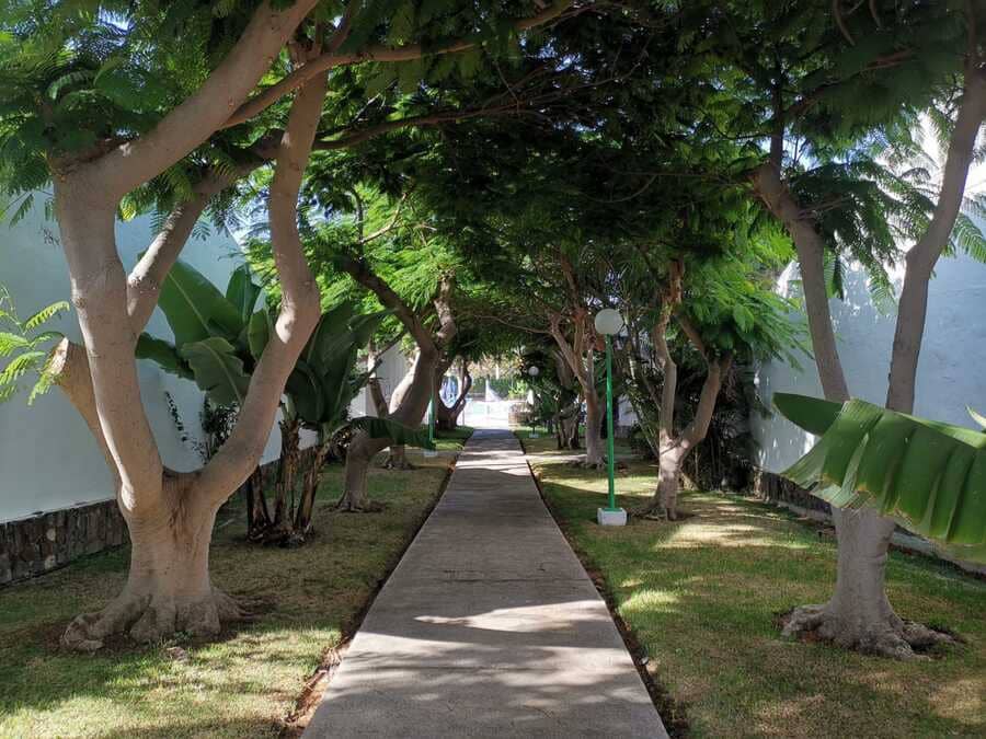 4 quarto Bungalow para venda em Maspalomas com piscina - 690 000 € (Ref: 6783740)