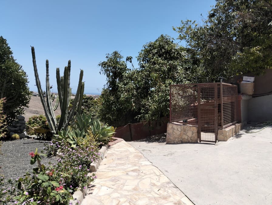 Appartement de 1 chambre à louer à Maspalomas avec piscine - 790 € (Ref: 9097318)