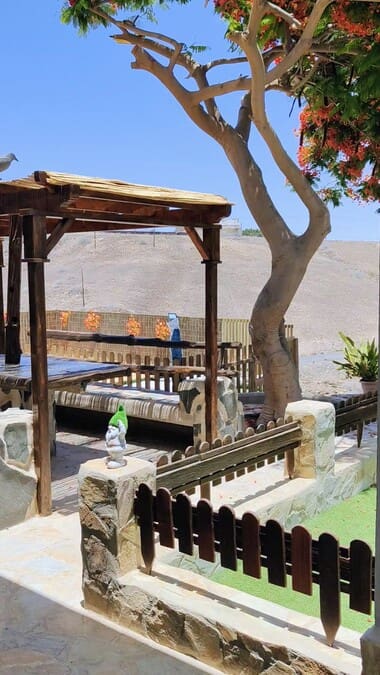 2 sypialnia Apartament do wynajęcia w Maspalomas z basenem - 880 € (Ref: 9097319)