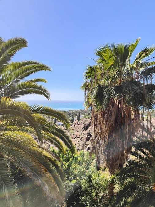 2 bedroom Apartment for rent in San Agustin - € 1,900 (Ref: 9731527)