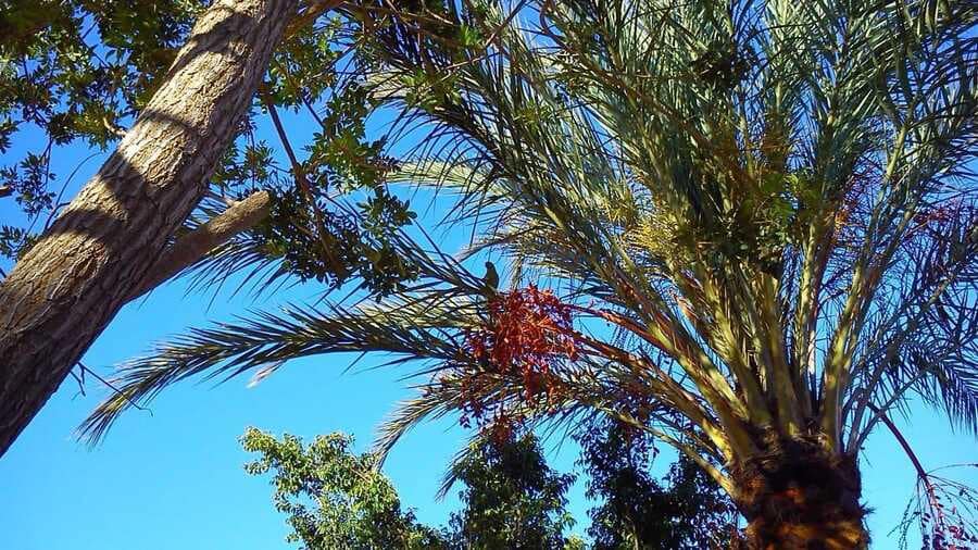 Commercieel te koop in Maspalomas - € 29.000 (Ref: 9983268)
