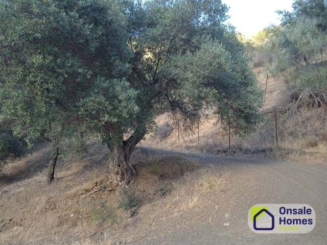 Teren niezagospodarowany na sprzedaż w Dsmo Dm Este, Miasto Málaga - 850 000 € (Ref: 10040248)