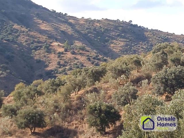 Teren niezagospodarowany na sprzedaż w Dsmo Dm Este, Miasto Málaga - 850 000 € (Ref: 10040248)