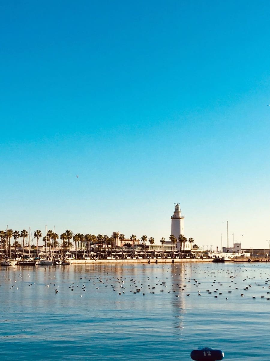 Commercial for rent in Marbella - € 2,500 (Ref: 10141499)