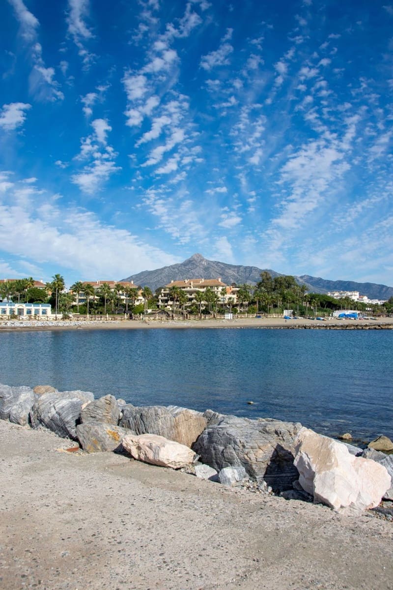 Commercial for rent in Marbella - € 2,500 (Ref: 10141499)