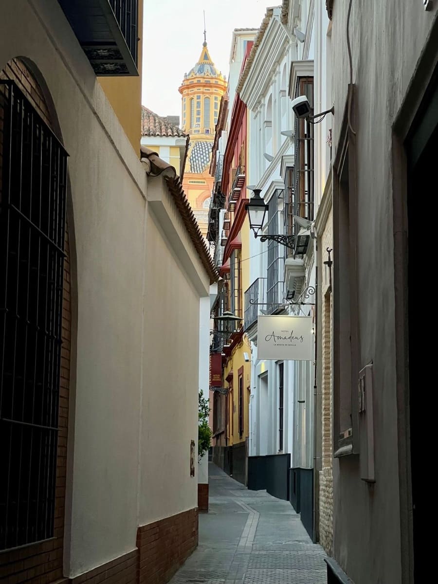 Comercial para arrendar em Nueva Andalucia - 3 000 € (Ref: 10141500)