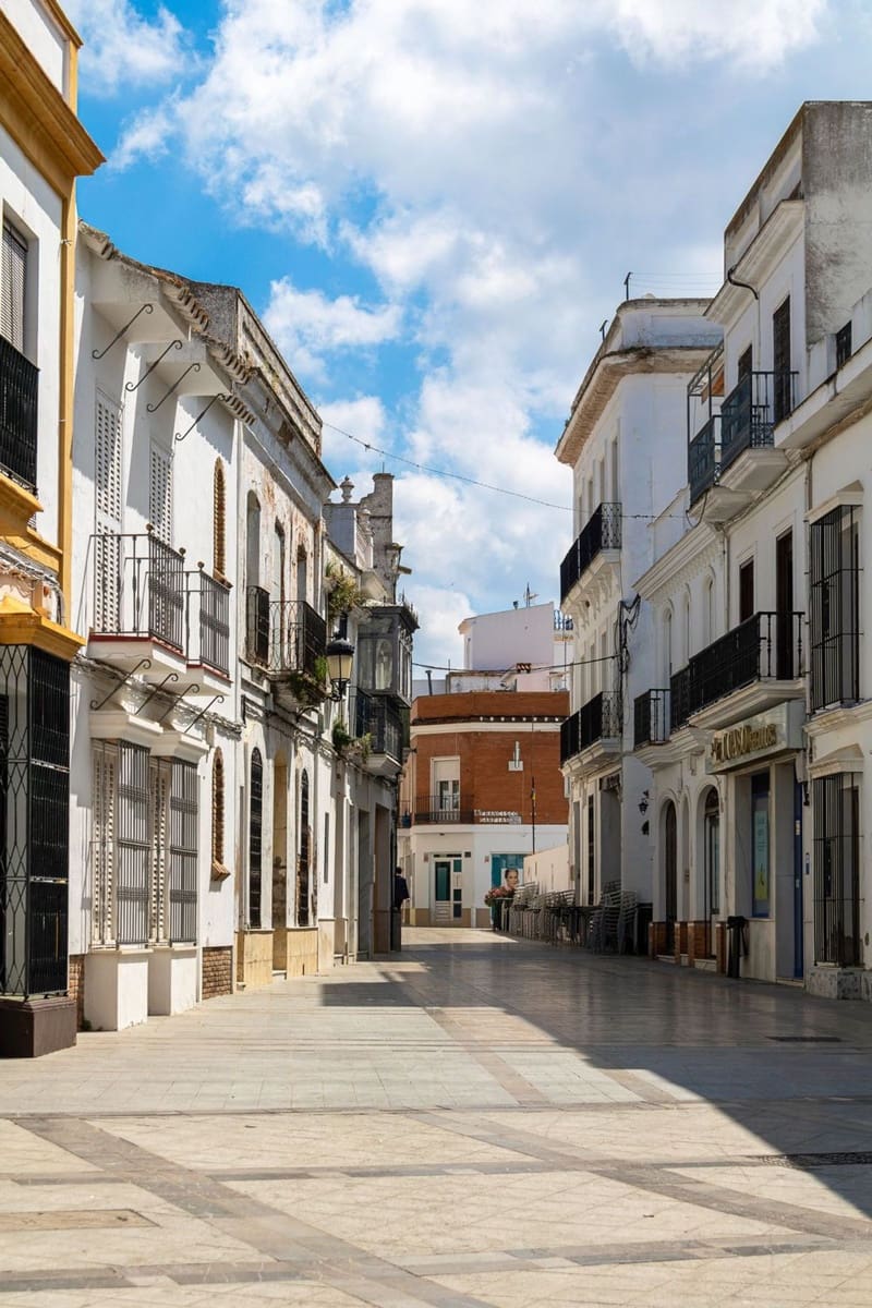Comercial para arrendar em Nueva Andalucia - 3 000 € (Ref: 10141500)