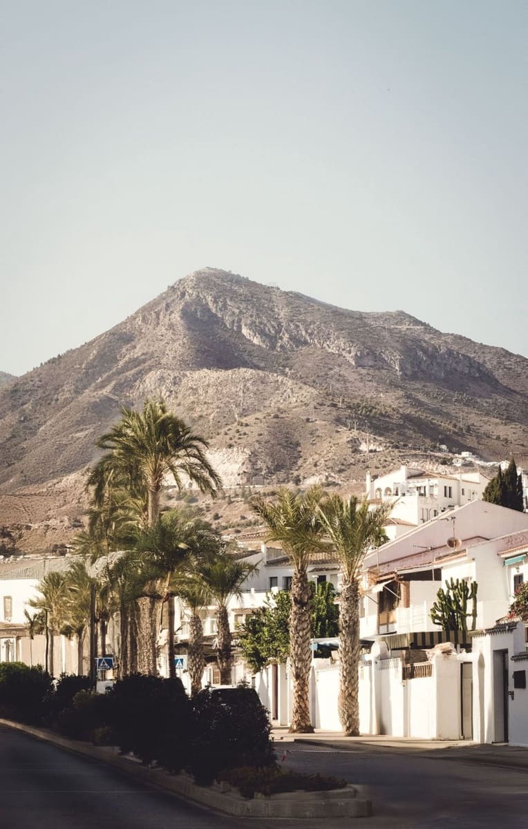 Comercial para arrendar em Nueva Andalucia - 3 000 € (Ref: 10141500)