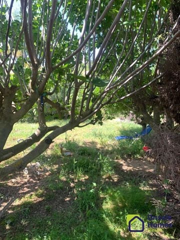 1 soverom Finca/Herregård til salgs i Ojen - € 330 000 (Ref: 9367995)