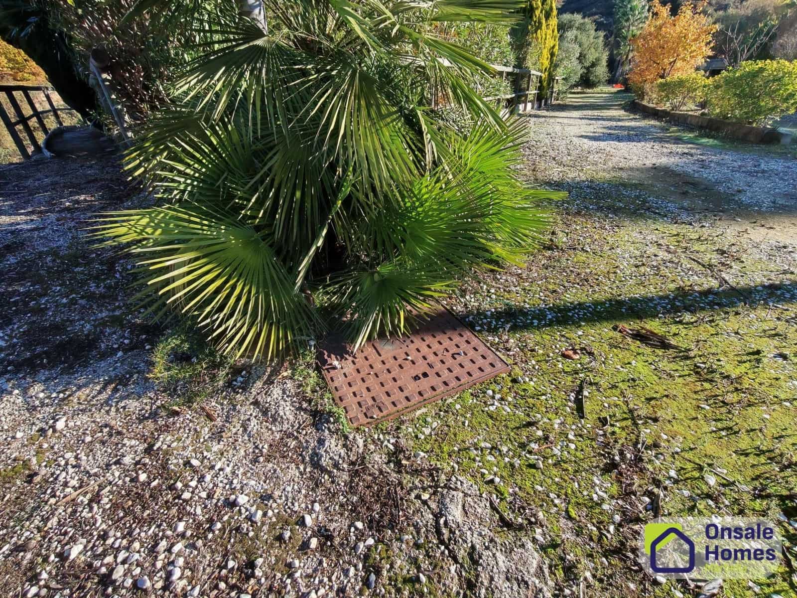 1 slaapkamer Finca/Landhuis te koop in Ojen - € 330.000 (Ref: 9367995)