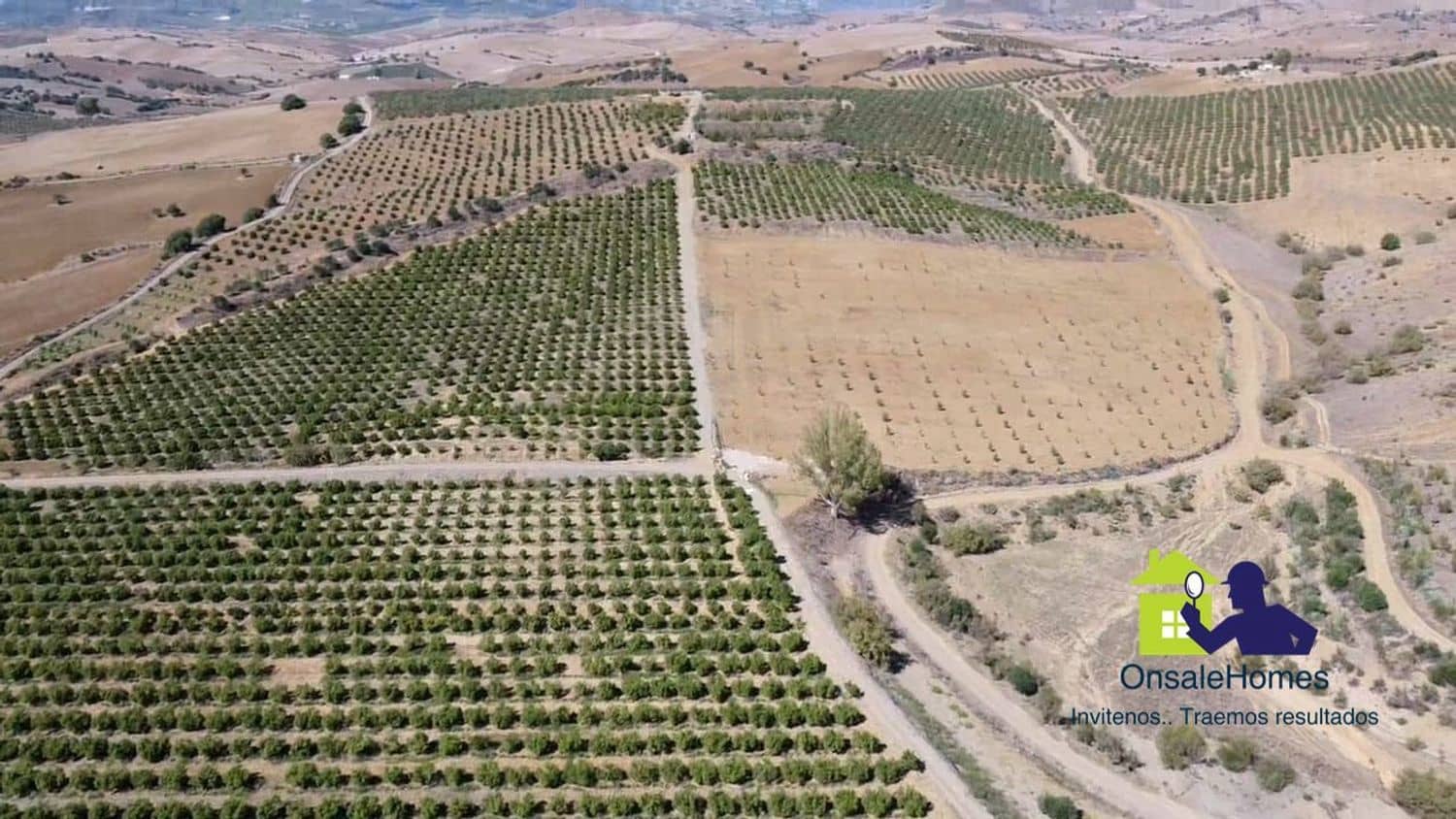 Grunde uden byggetilladelser til salg i Coin - € 2.450.000 (Ref: 9368008)