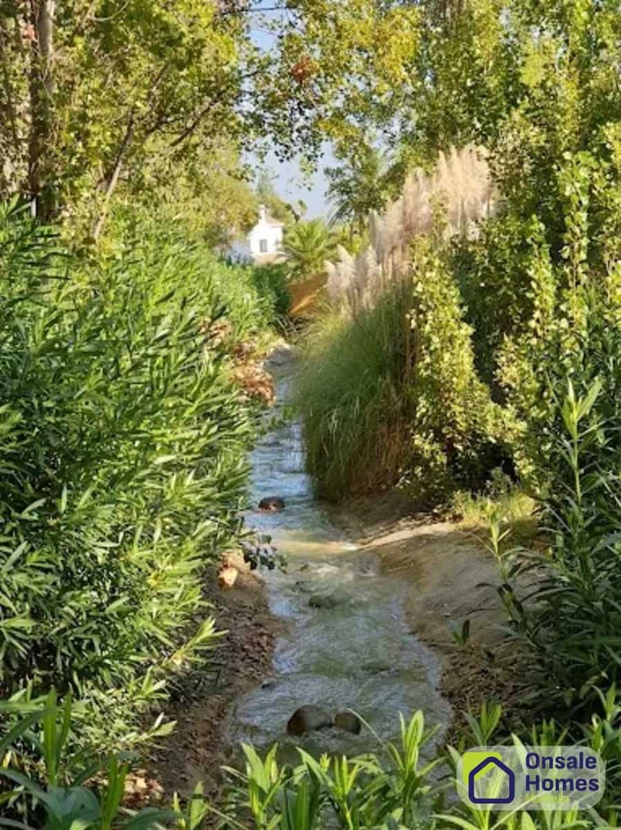 Yritys vuokrattavana paikassa Marbella - 1 500 € (Ref: 9373819)