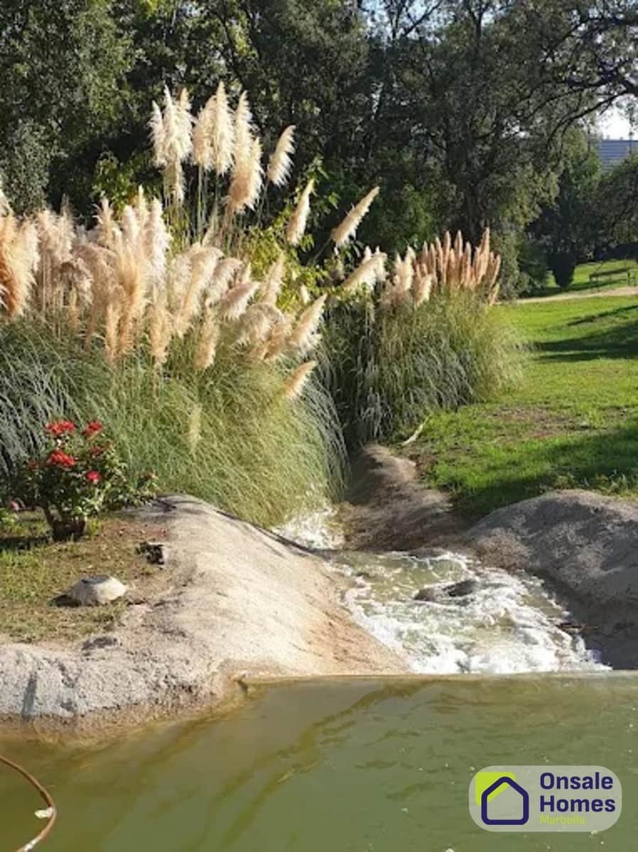 Yritys vuokrattavana paikassa Marbella - 1 500 € (Ref: 9373819)