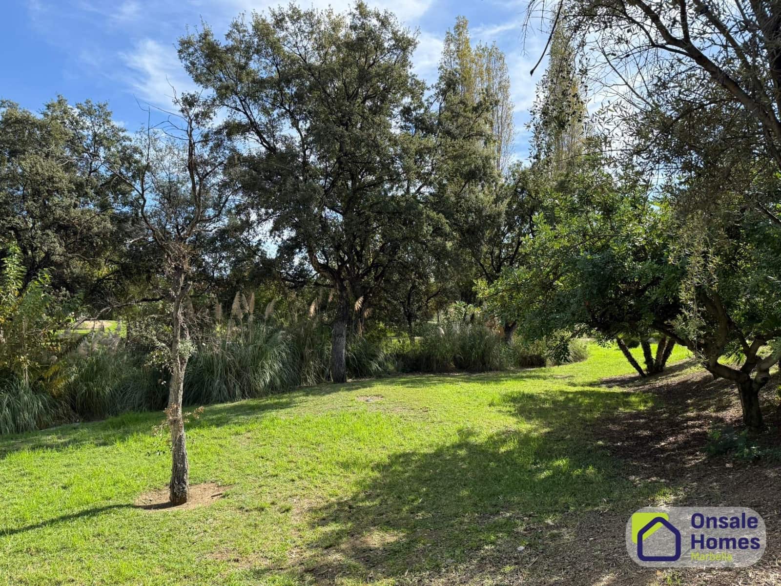 Yritys vuokrattavana paikassa Marbella - 1 500 € (Ref: 9373819)