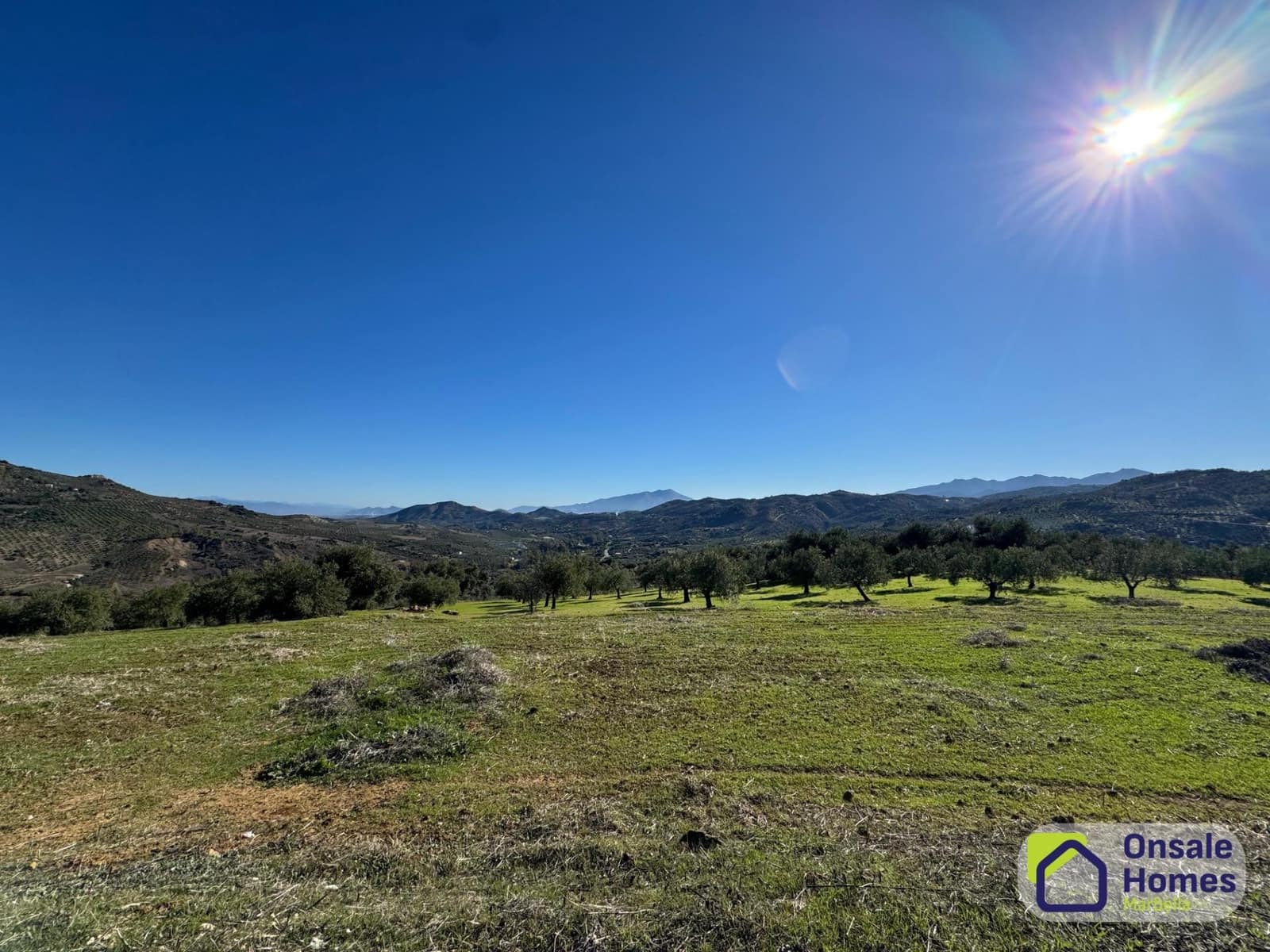 Mark till salu i Tolox - 175 000 € (Ref: 9427150)