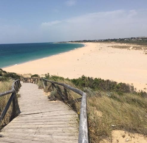 Terreno/Finca Rústica en Los Caños de Meca, Barbate en venta - 5.000.000 € (Ref: 9503713)