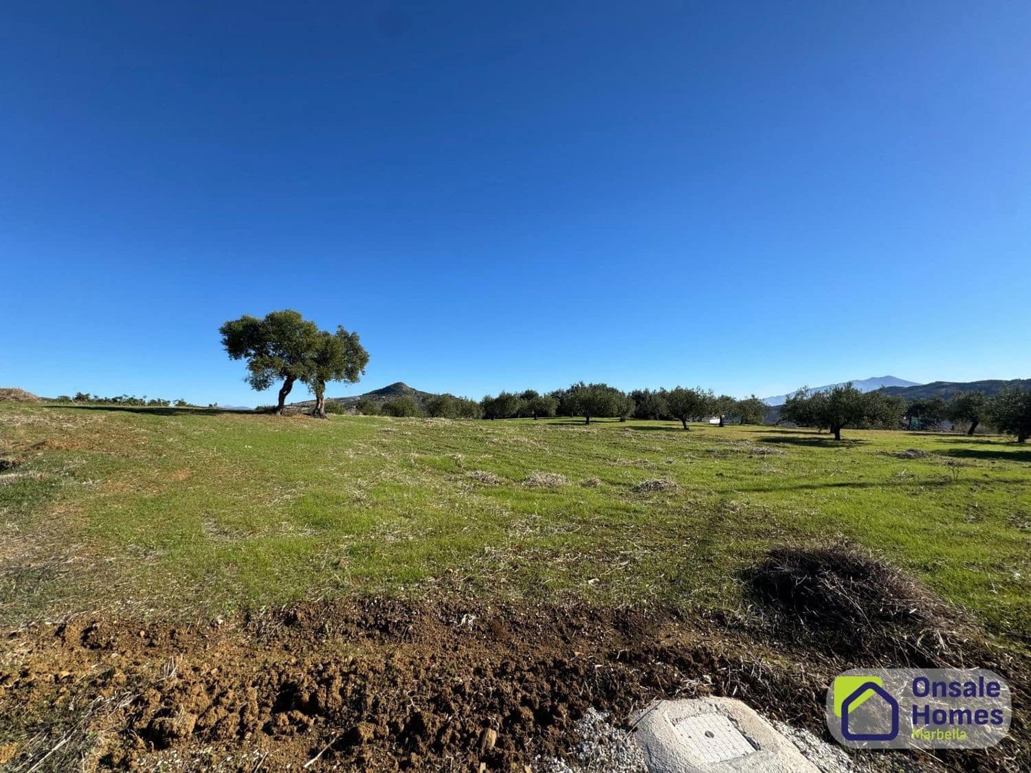 Grond te koop in Tolox - € 175.000 (Ref: 9529223)